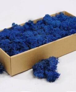 rendiermos blauw 500gr
