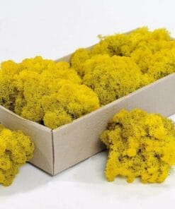 rendiermos geel 500gr