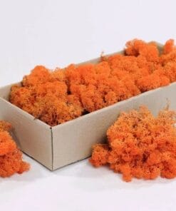 rendiermos oranje 500gr