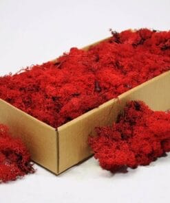 rendiermos rood 500gr