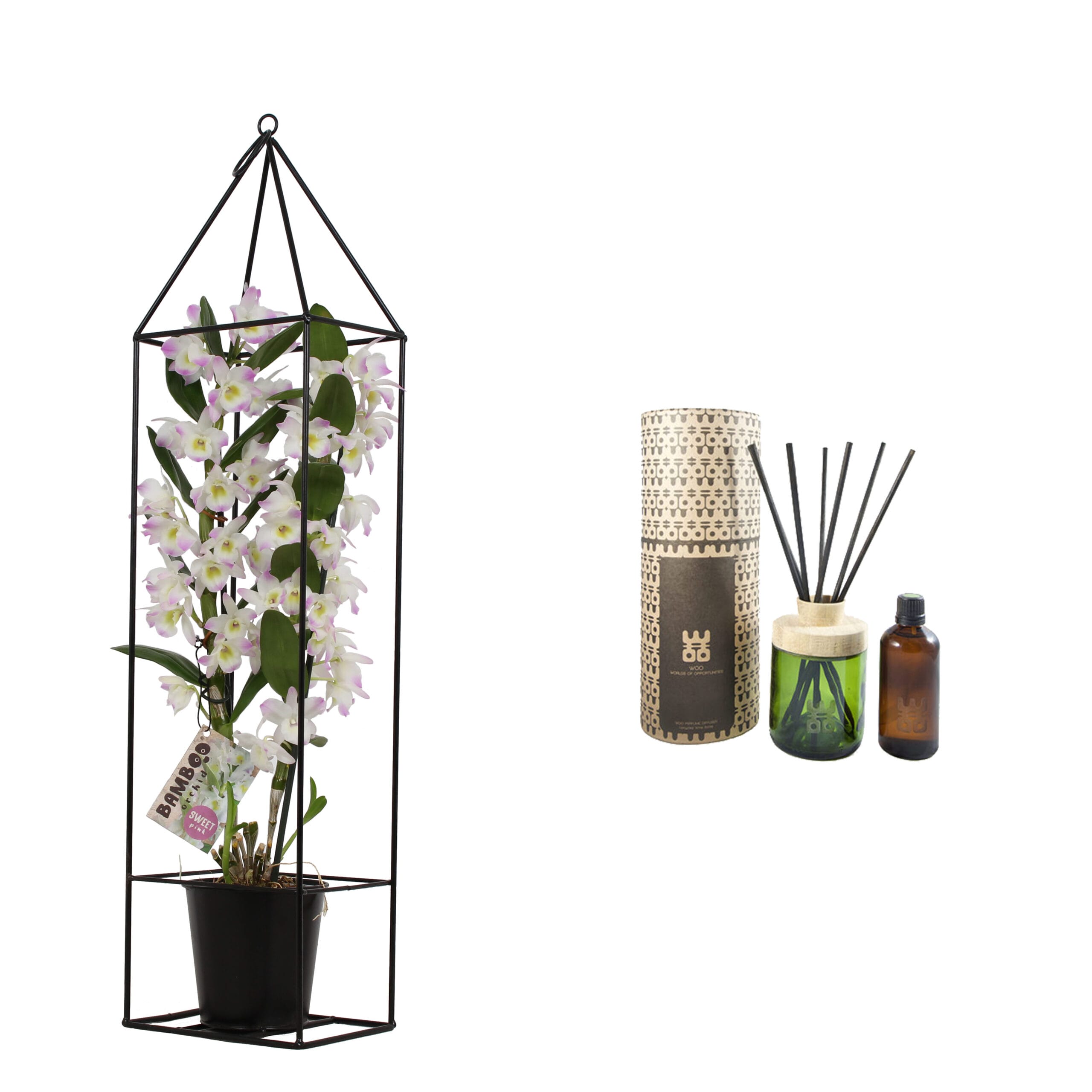 Combi Bamboo orchid 'sweet pink' in draadframe en Woo Diffuser (100 ml) ↑ 50 cm ⌀ 12