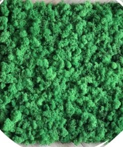 Mospaneel kurk – Woudgroen 0