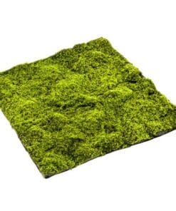 Sphagnum kunstmos mat 100 x 100 cm