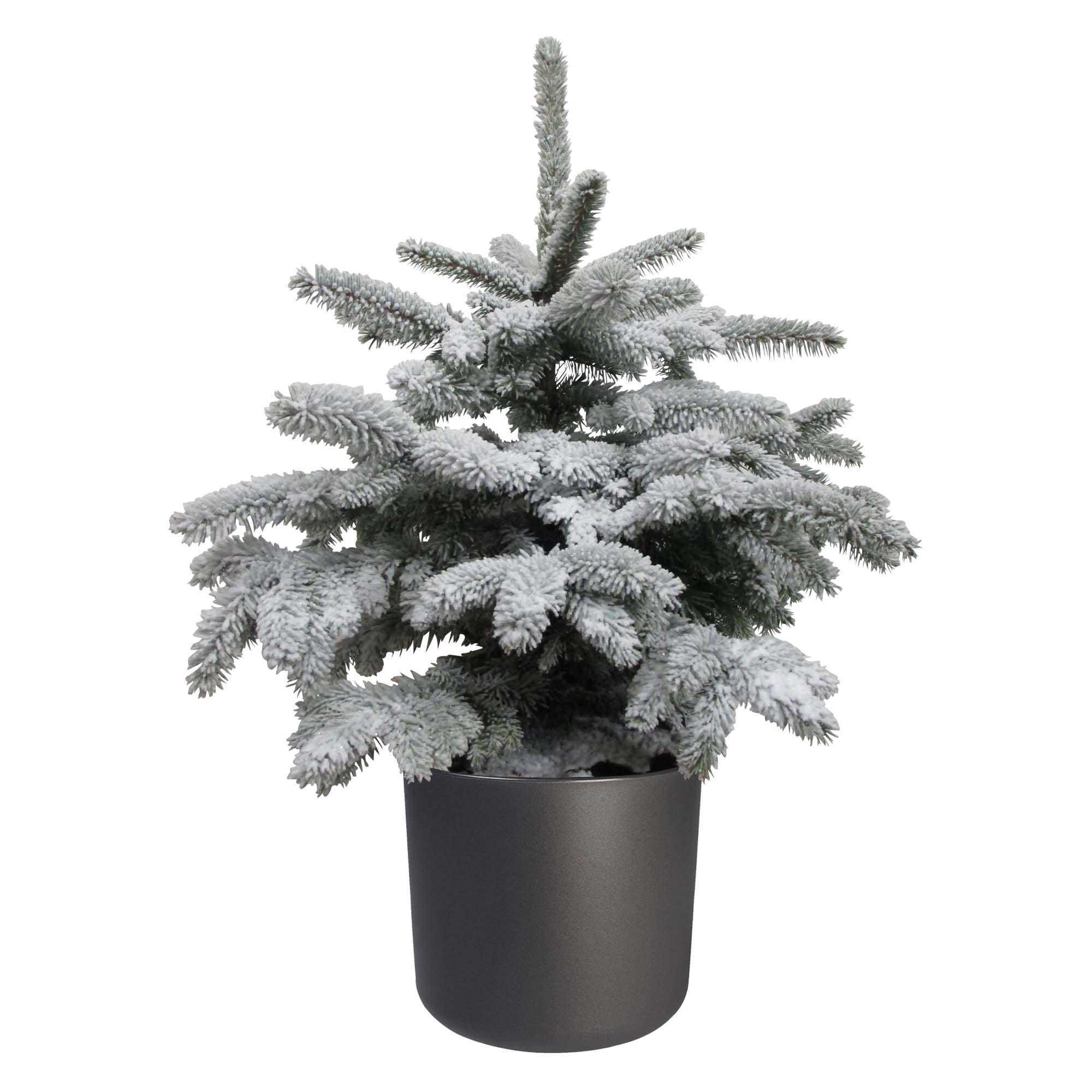 Picea sneeuw in Elho b.for soft rond sierpot (antraciet) ↑ 85 cm ⌀ 28 cm
