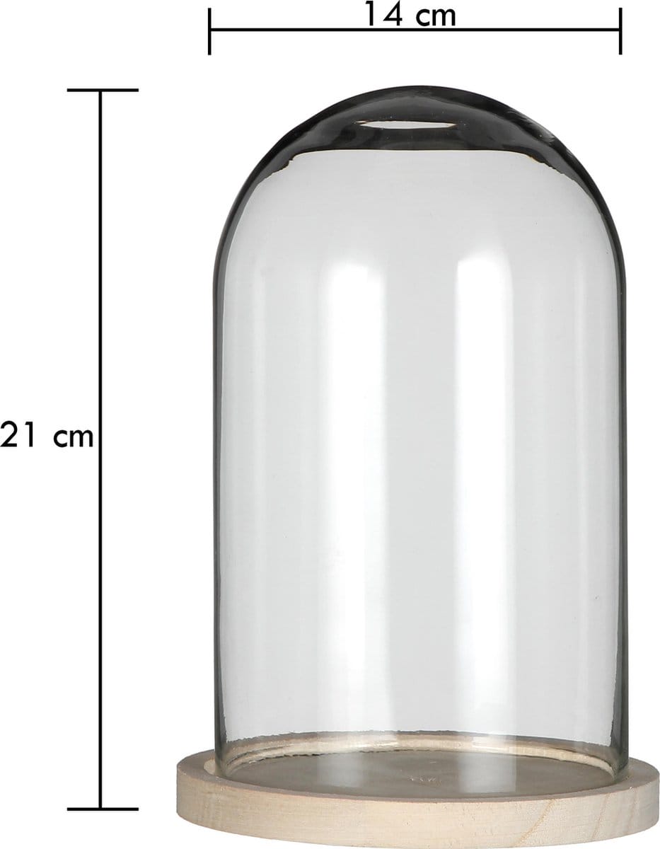 Glazen stolp voor plantjes ↑ 21 cm ⌀ 14 cm - Afbeelding 2