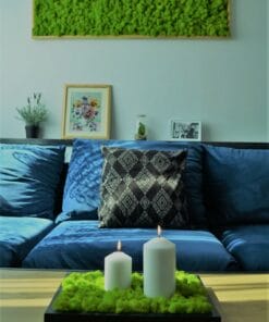 mosschilderij rendiermos in woonkamer