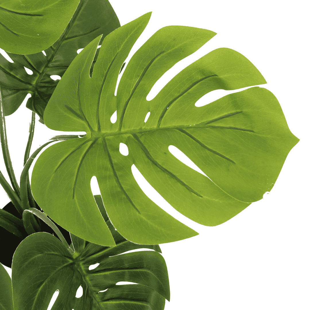 Monstera kunstplant zijde ↑ 60 cm ⌀ 15 cm - Afbeelding 4