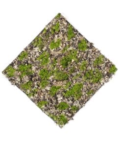 Kunstmos mat dry mos - groen / bruin 50 x 50 cm