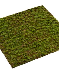 Grimmia kunstmos mat (muisjesmos) 100 x 100 cm