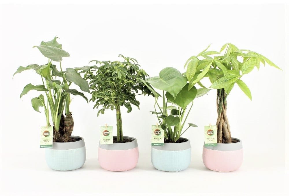 Jungle Mix in Mint Mosaic Keramiek ↑ 40 cm ⌀ 14 cm