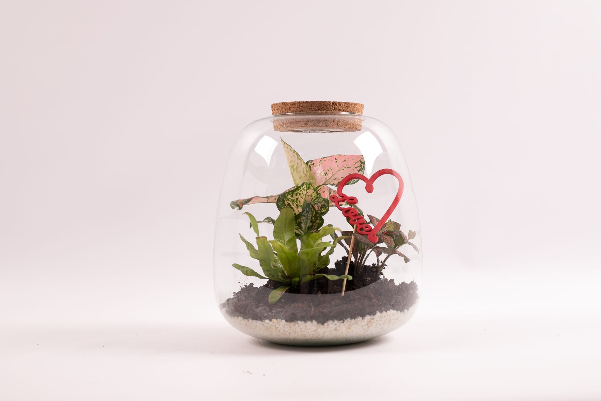 Valentijn Ecosysteem - Planten terrarium met licht ↑ 25 cm ⌀ 16 cm