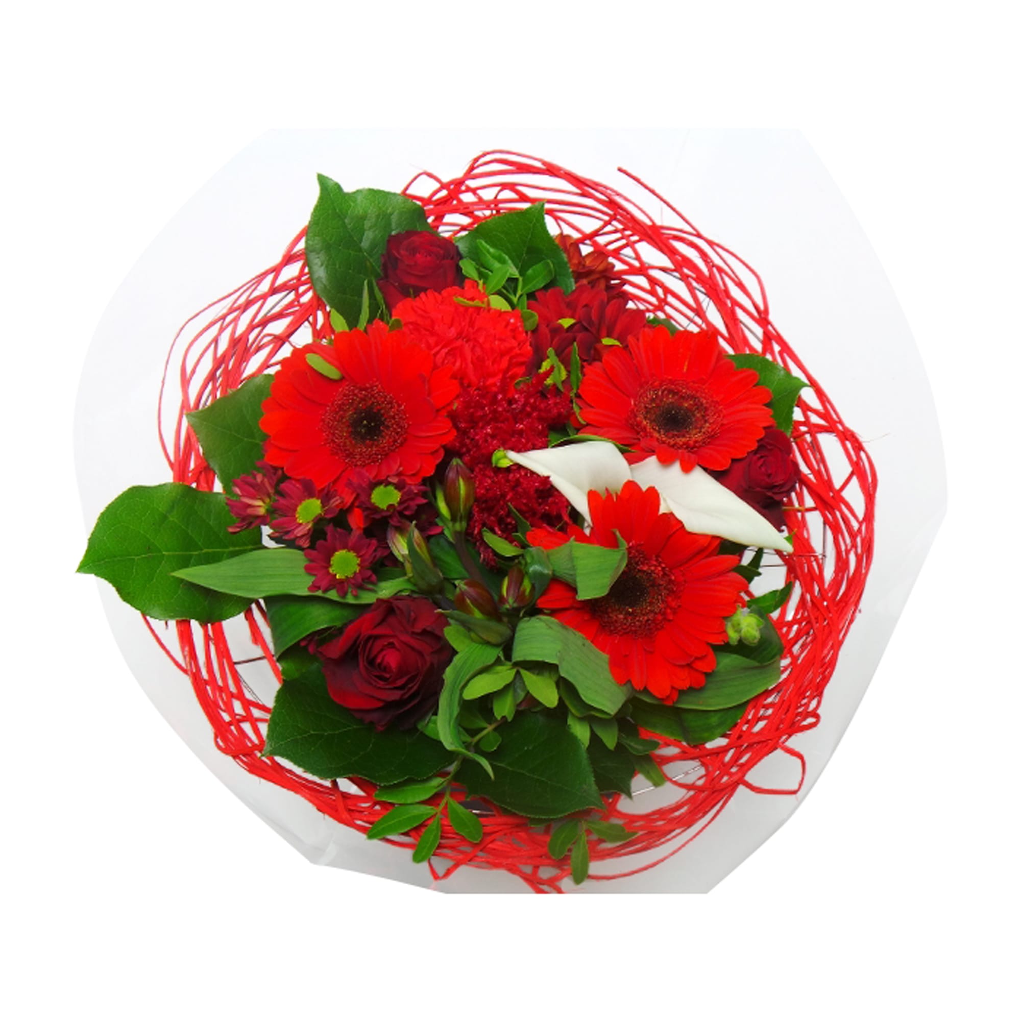 Boeket bloemen - Sisal Large Rood ↑ 45 cm