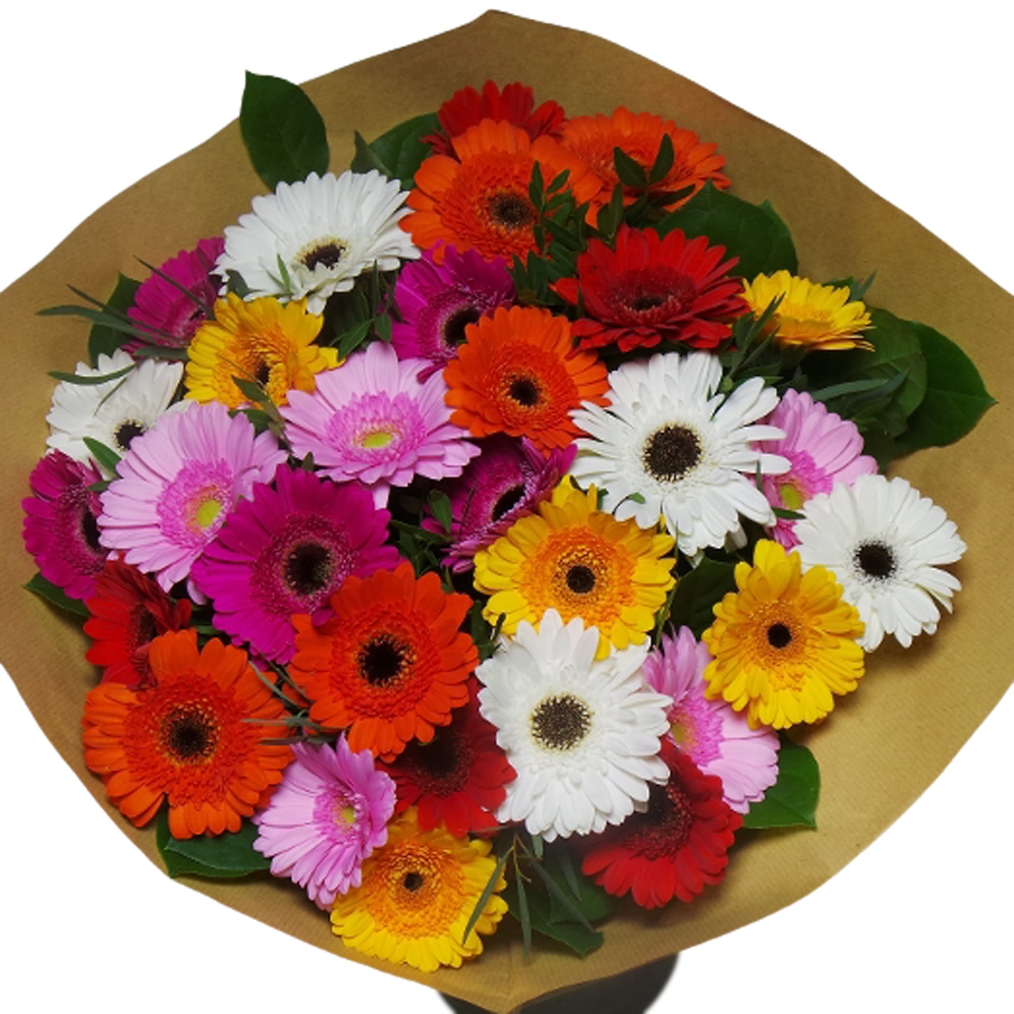 Boeket bloemen - Germini ↑ 50 cm