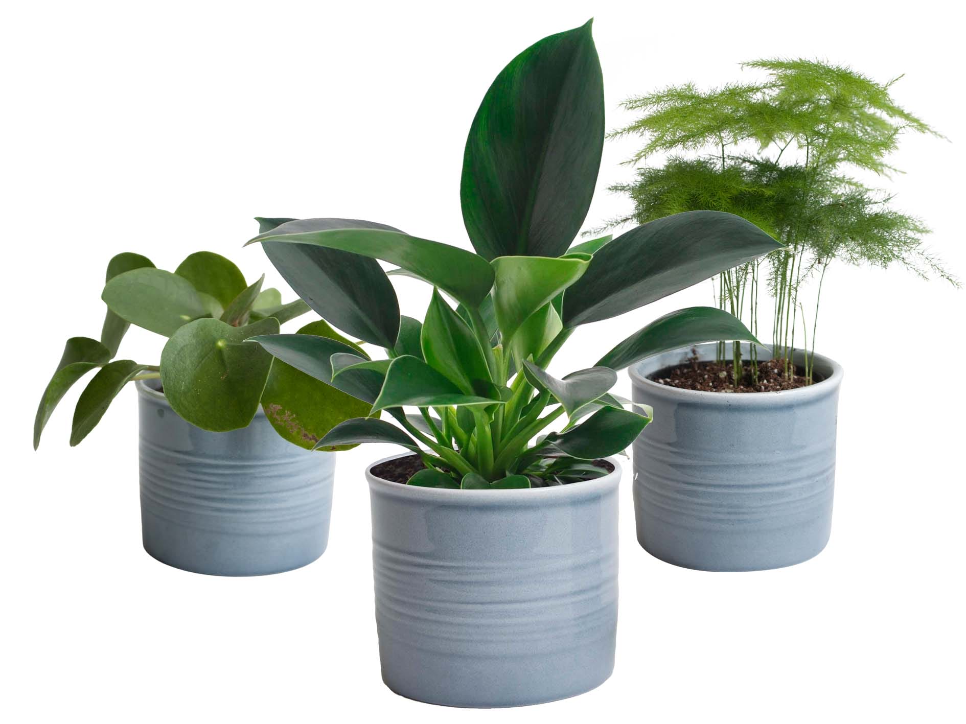 Trio ‘Klein Groen’ in Laos keramiek (blauw) ↑ 20 cm ⌀ 10