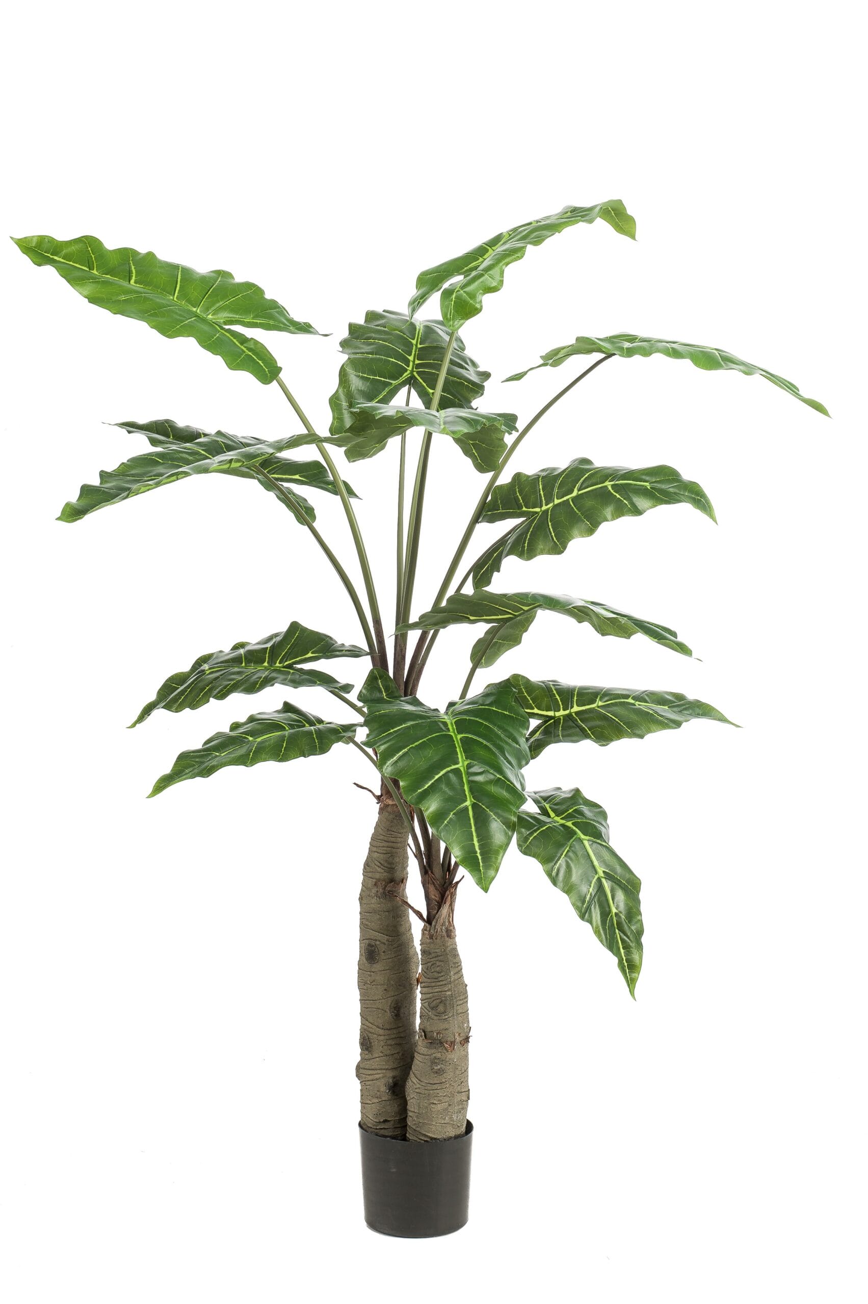 Alocasia - Kunstplant - 70cm - Afbeelding 7