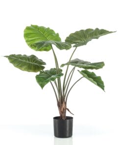Alocasia - Kunstplant - 70cm