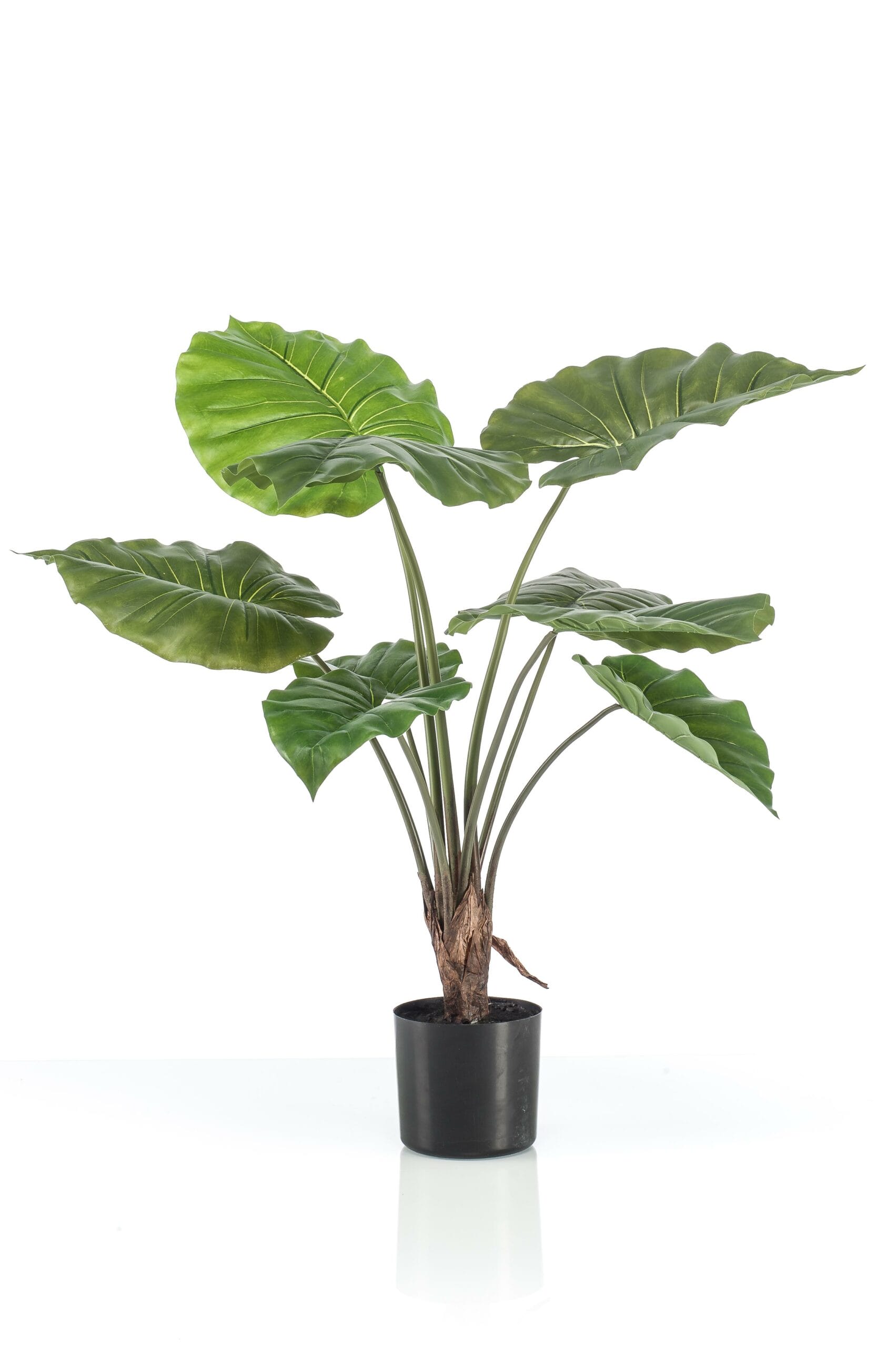 Alocasia - Kunstplant - 70cm