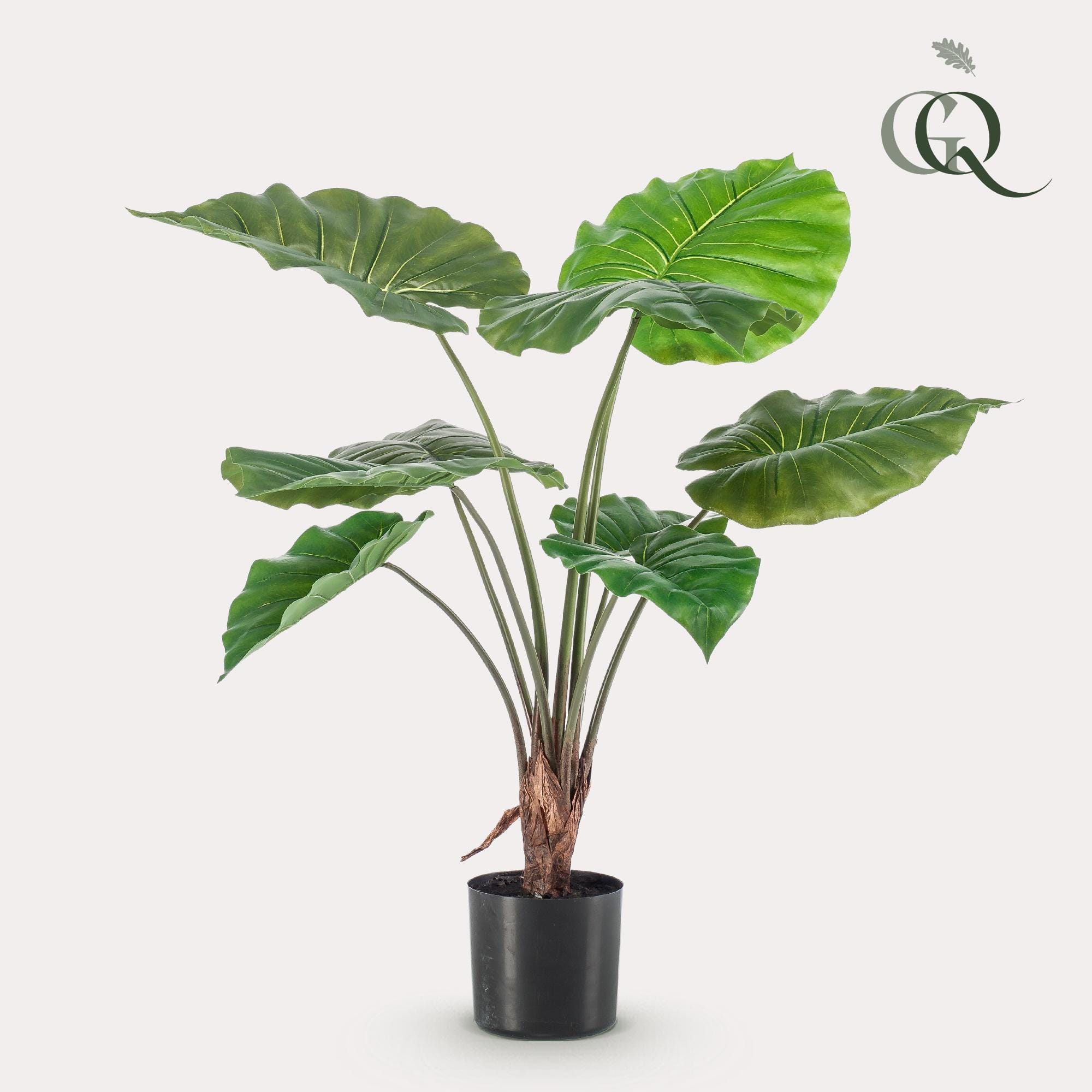 Alocasia - Kunstplant - 70cm - Afbeelding 2