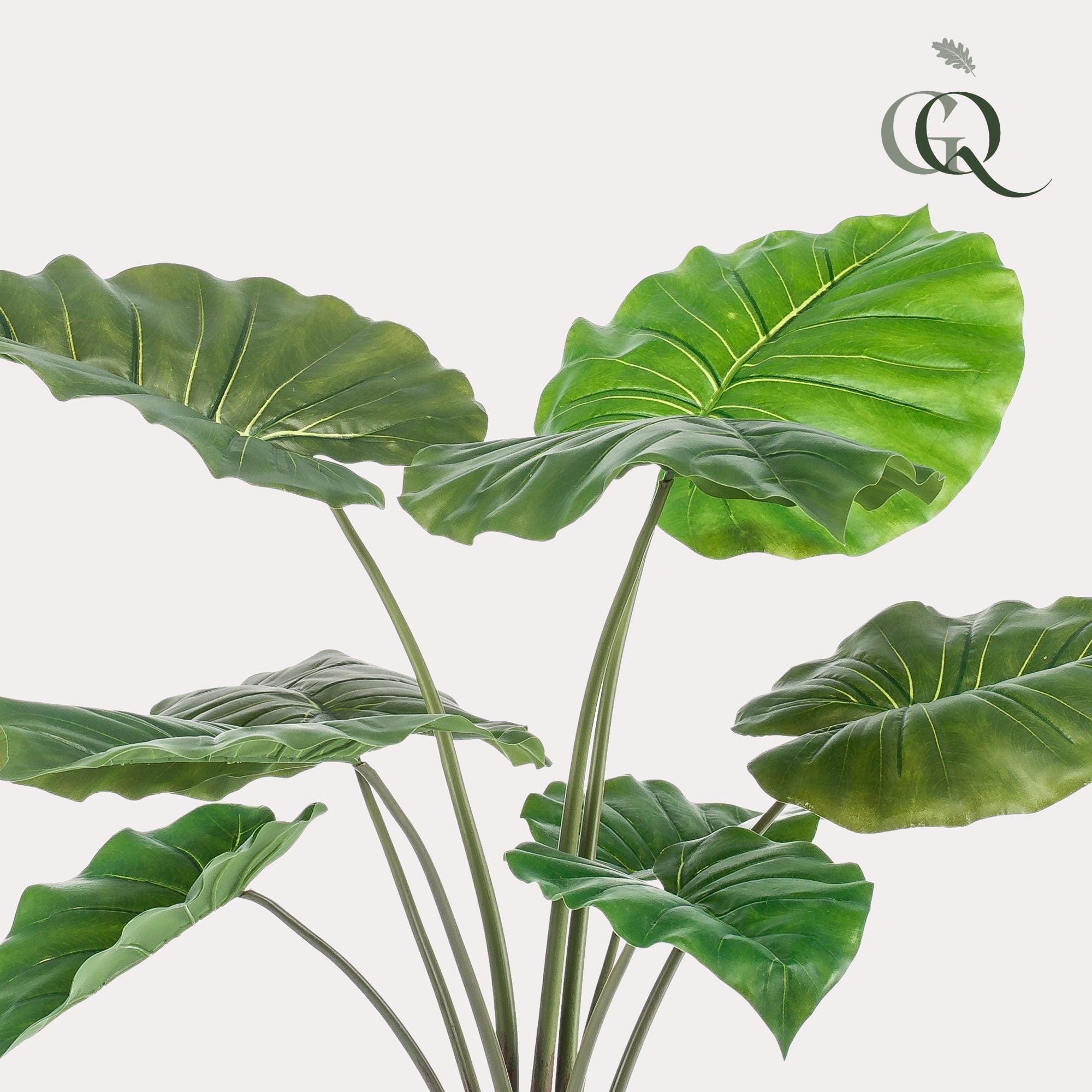 Alocasia - Kunstplant - 70cm - Afbeelding 3