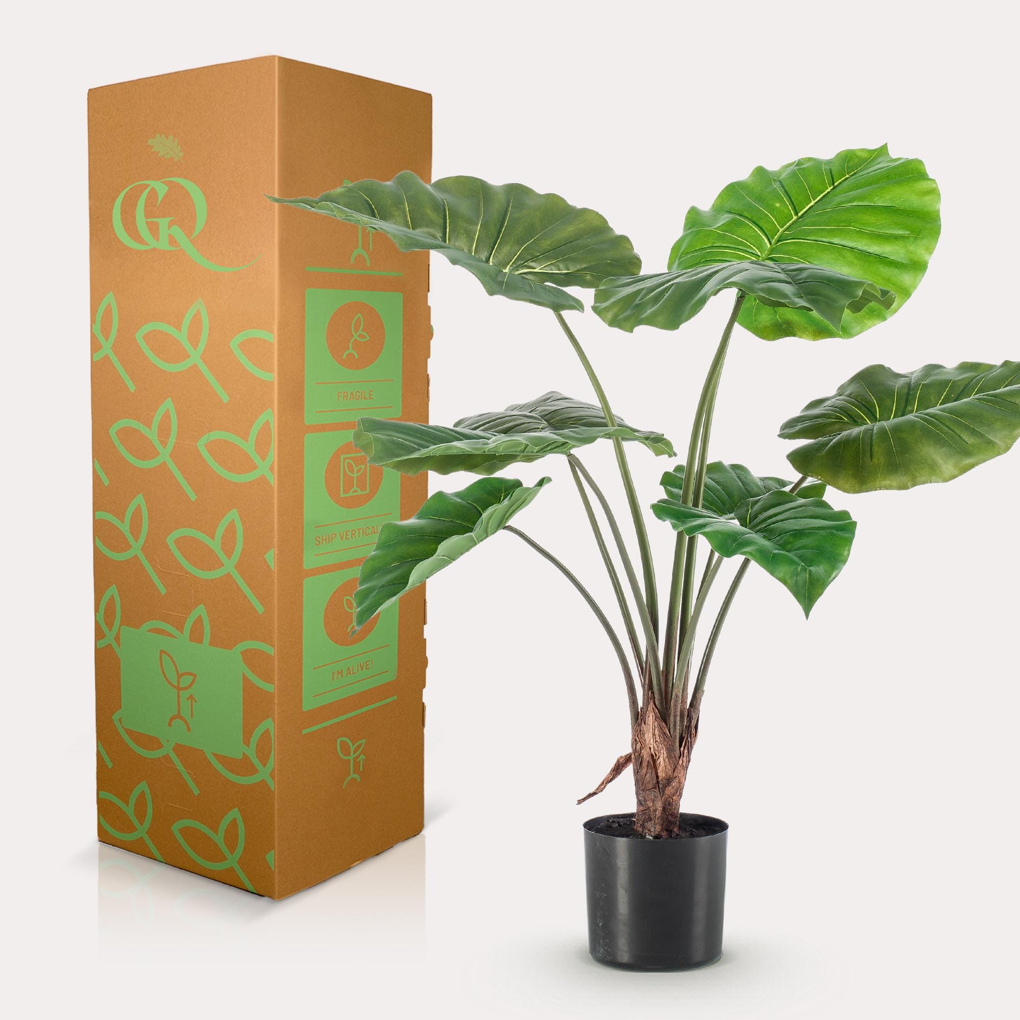 Alocasia - Kunstplant - 70cm - Afbeelding 4
