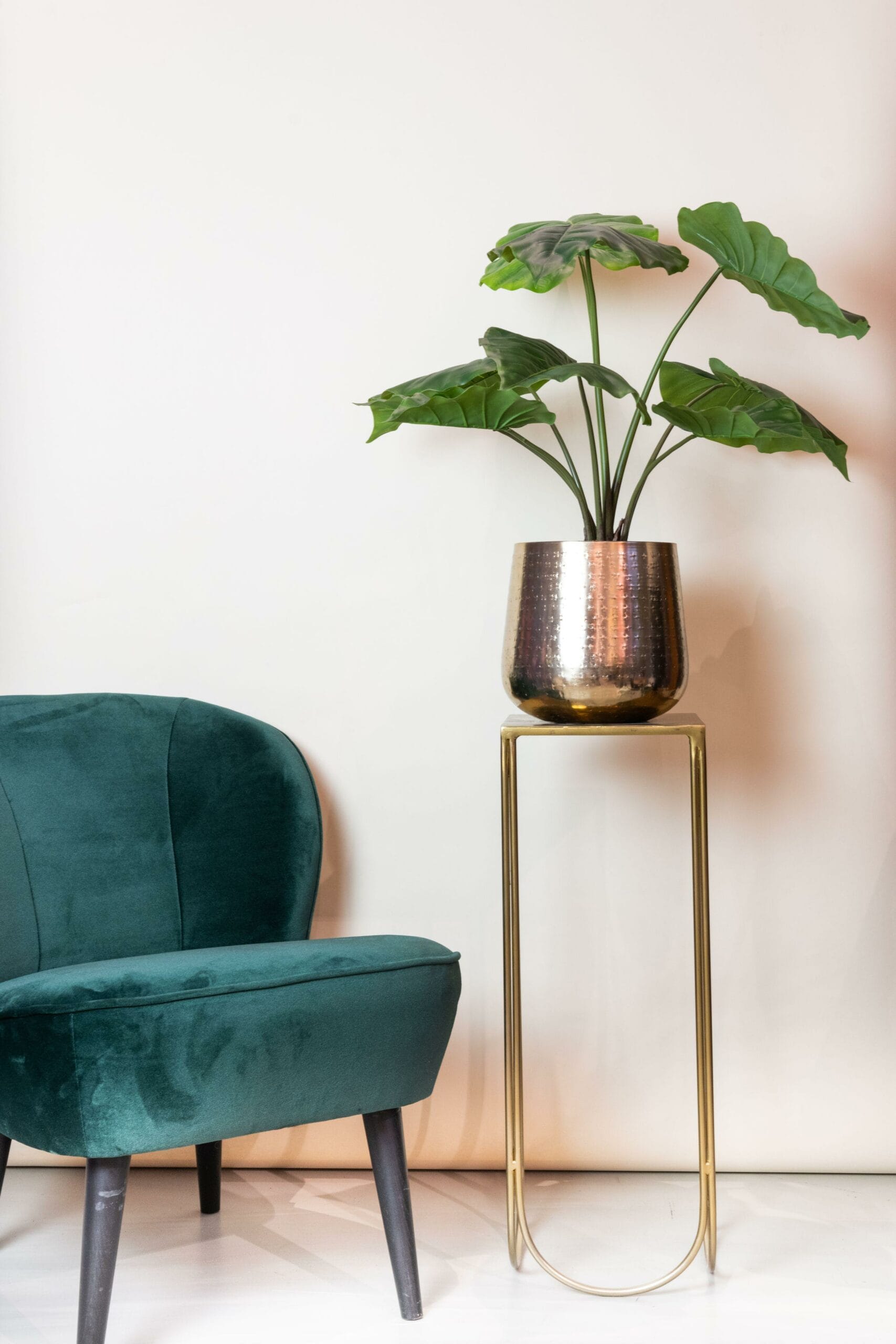 Alocasia - Kunstplant - 70cm - Afbeelding 6