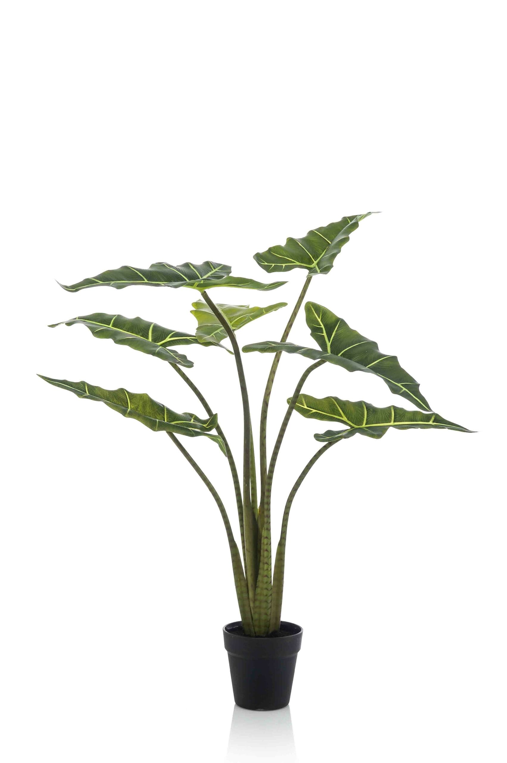Alocasia Frydek - Kunstplant - 100cm - Afbeelding 8