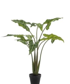 Alocasia Frydek - Kunstplant - 100cm
