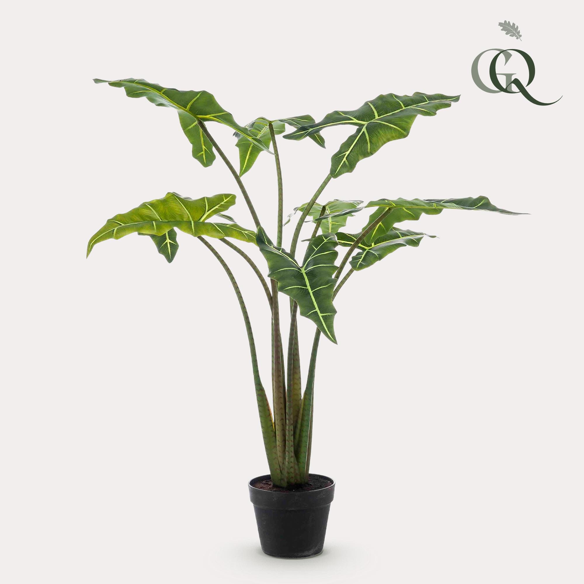 Alocasia Frydek - Kunstplant - 100cm - Afbeelding 2