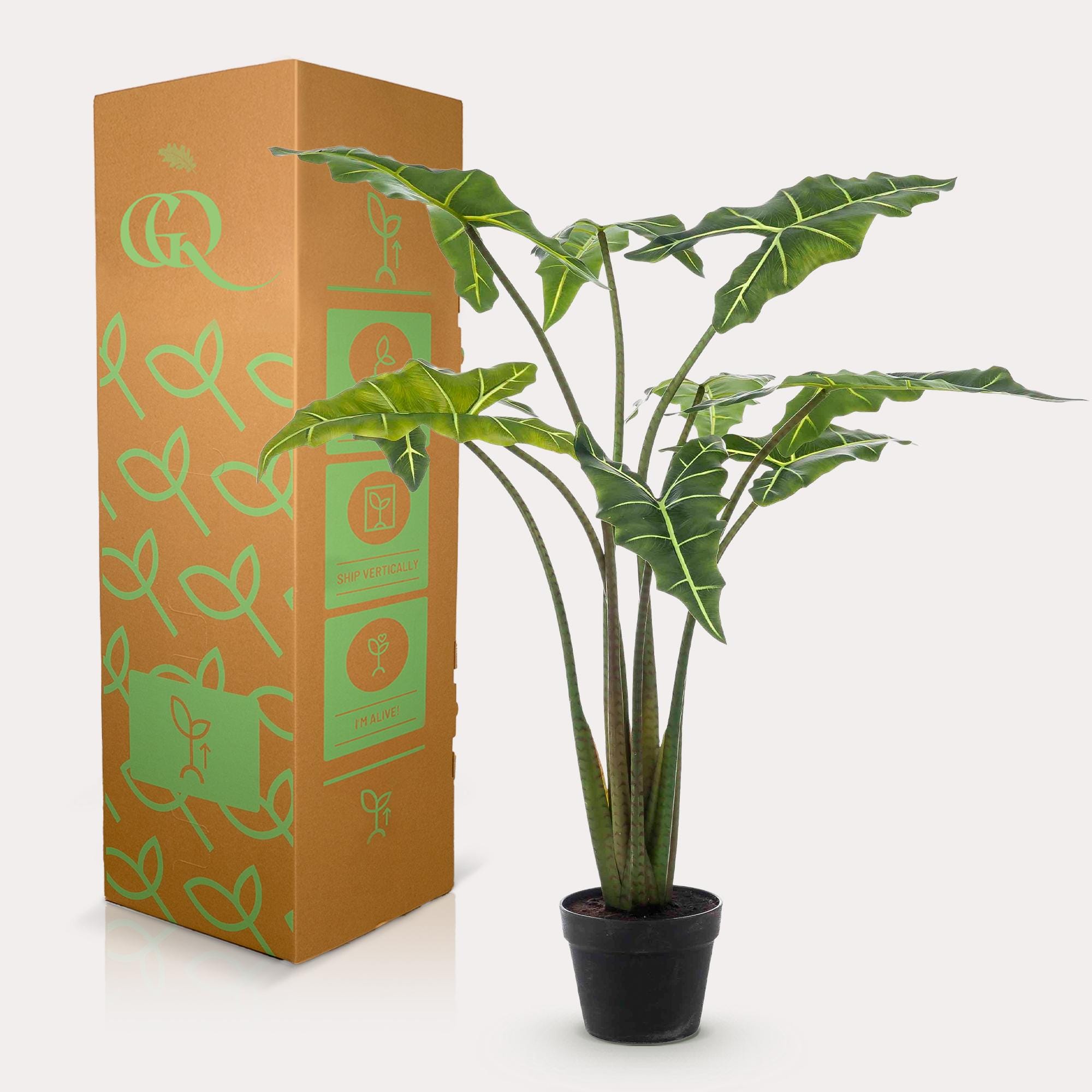 Alocasia Frydek - Kunstplant - 100cm - Afbeelding 4