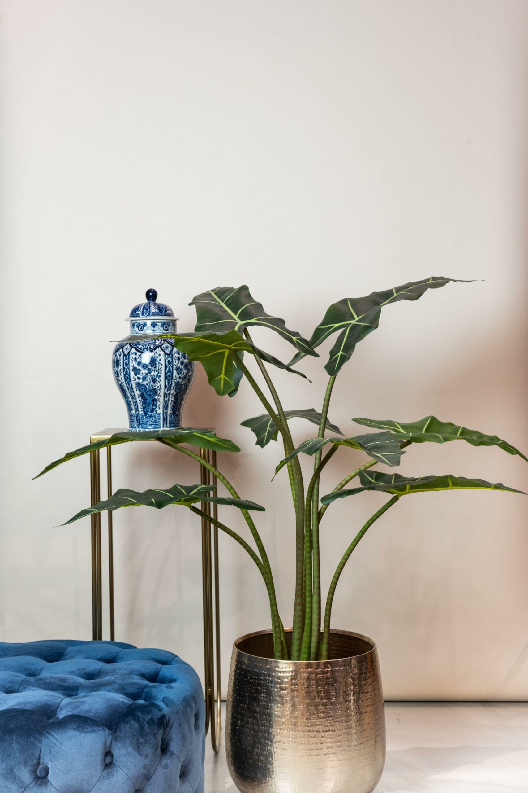 Alocasia Frydek - Kunstplant - 100cm - Afbeelding 6