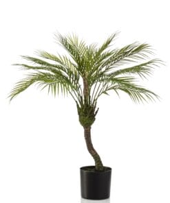 Chamaedorea - Kunstplant - 85cm