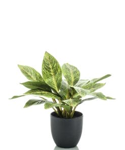 Croton Codiaeum - Wonderstruik - Kunstplant - 95cm
