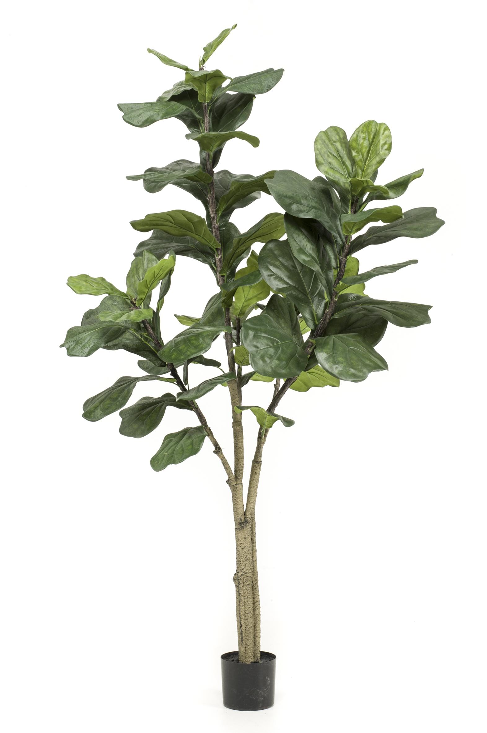 Ficus Lyrata - Tabaksplant - Kunstplant - 90cm - Afbeelding 7