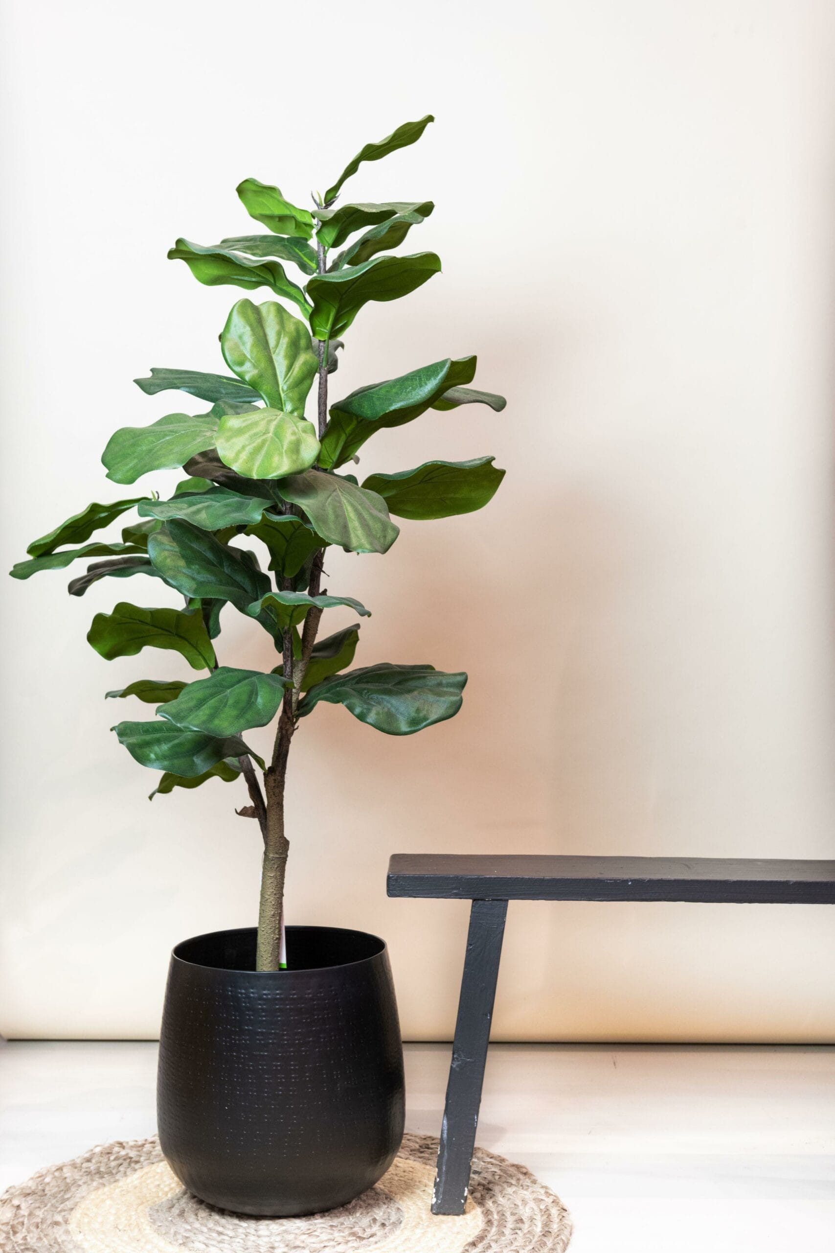 Ficus Lyrata - Tabaksplant - Kunstplant - 90cm - Afbeelding 6