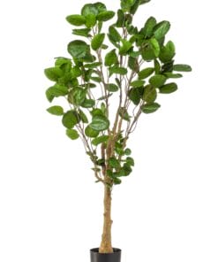 Polyscias - Kunstplant - 150cm