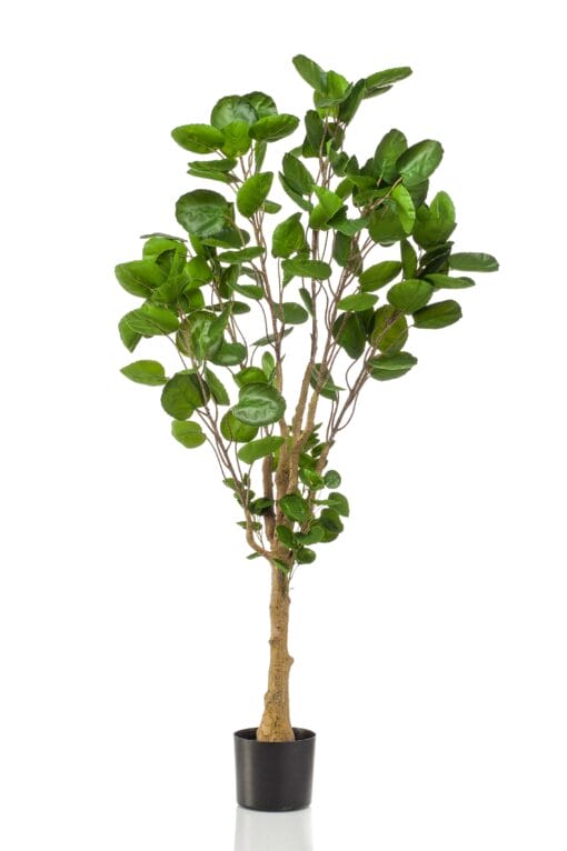 Polyscias - Kunstplant - 150cm