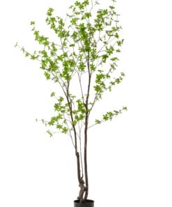 Tropaeolum Speciosum - Kunstplant - 210cm