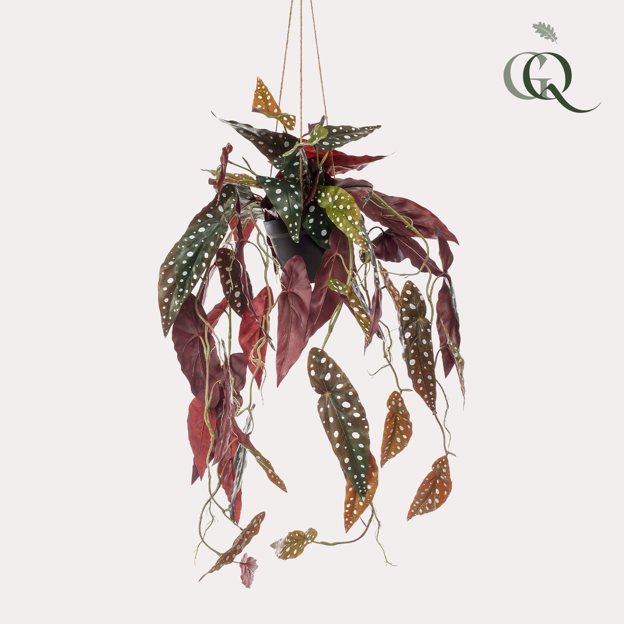 Begonia Maculata - Kunst Hangplant - 80cm - Afbeelding 2