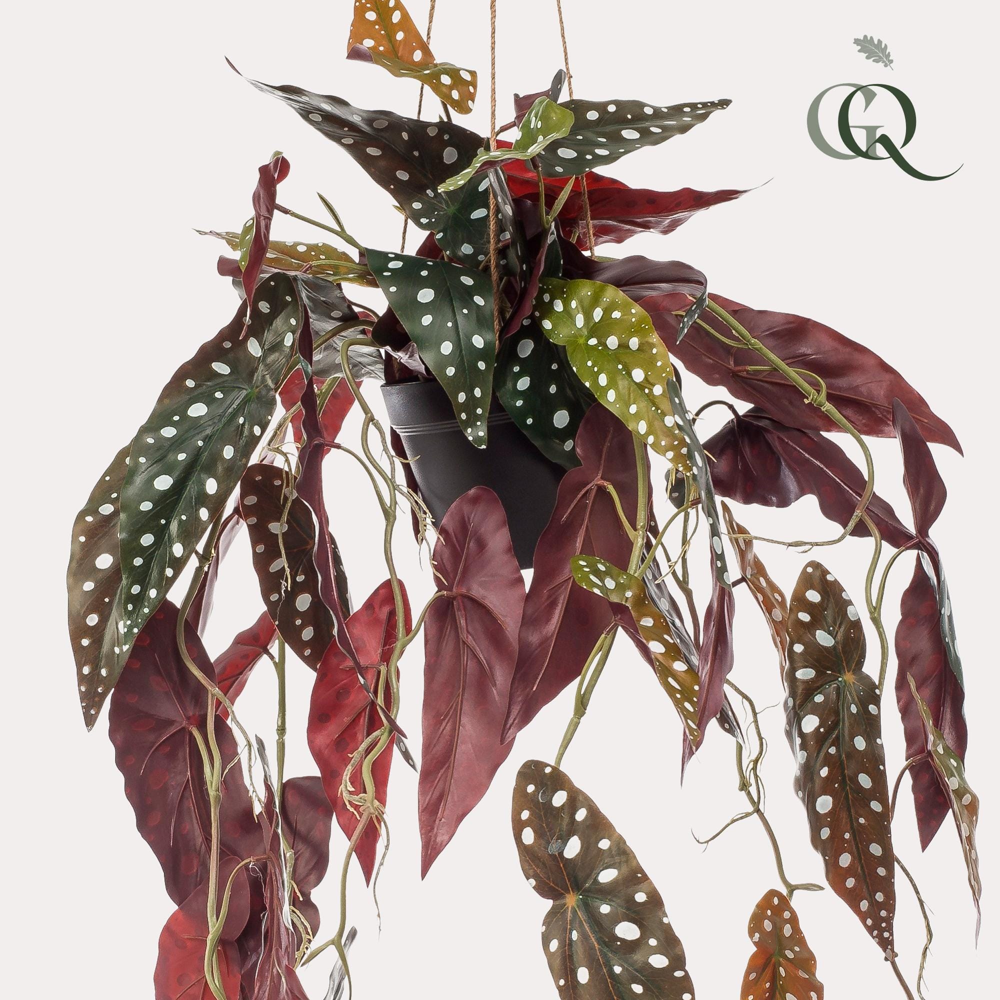Begonia Maculata - Kunst Hangplant - 80cm - Afbeelding 3