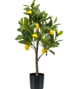 Citrus Limonia - Kunstboom - 72cm