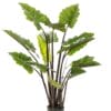 Colocasia Pink China - Kunstplant - 130cm