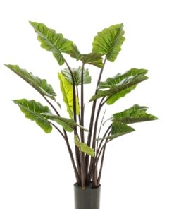Colocasia Pink China - Kunstplant - 130cm