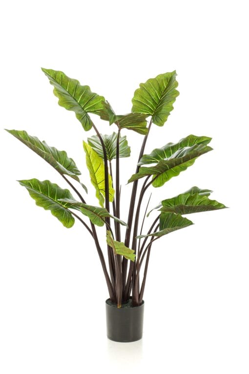 Colocasia Pink China - Kunstplant - 130cm