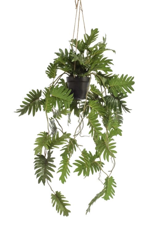Philodendron - Kunst Hangplant - 80cm