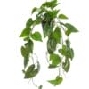 Philodendron Scandens - Kunst Hangplant - 80cm