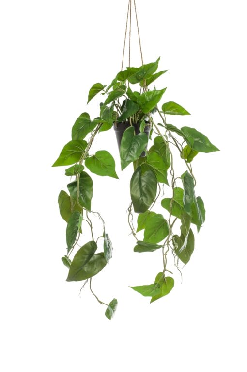 Philodendron Scandens - Kunst Hangplant - 80cm