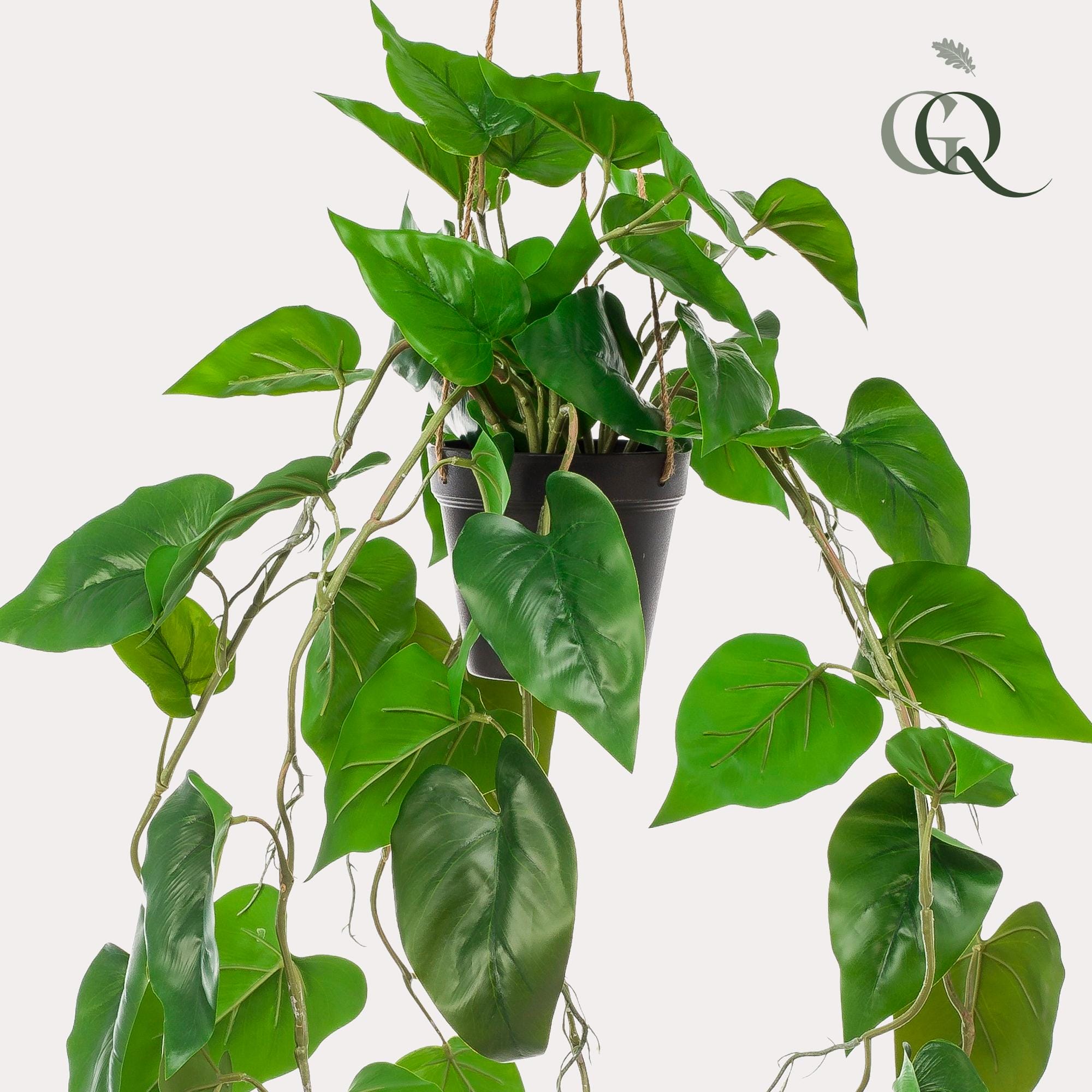 Philodendron Scandens - Kunst Hangplant - 80cm - Afbeelding 3