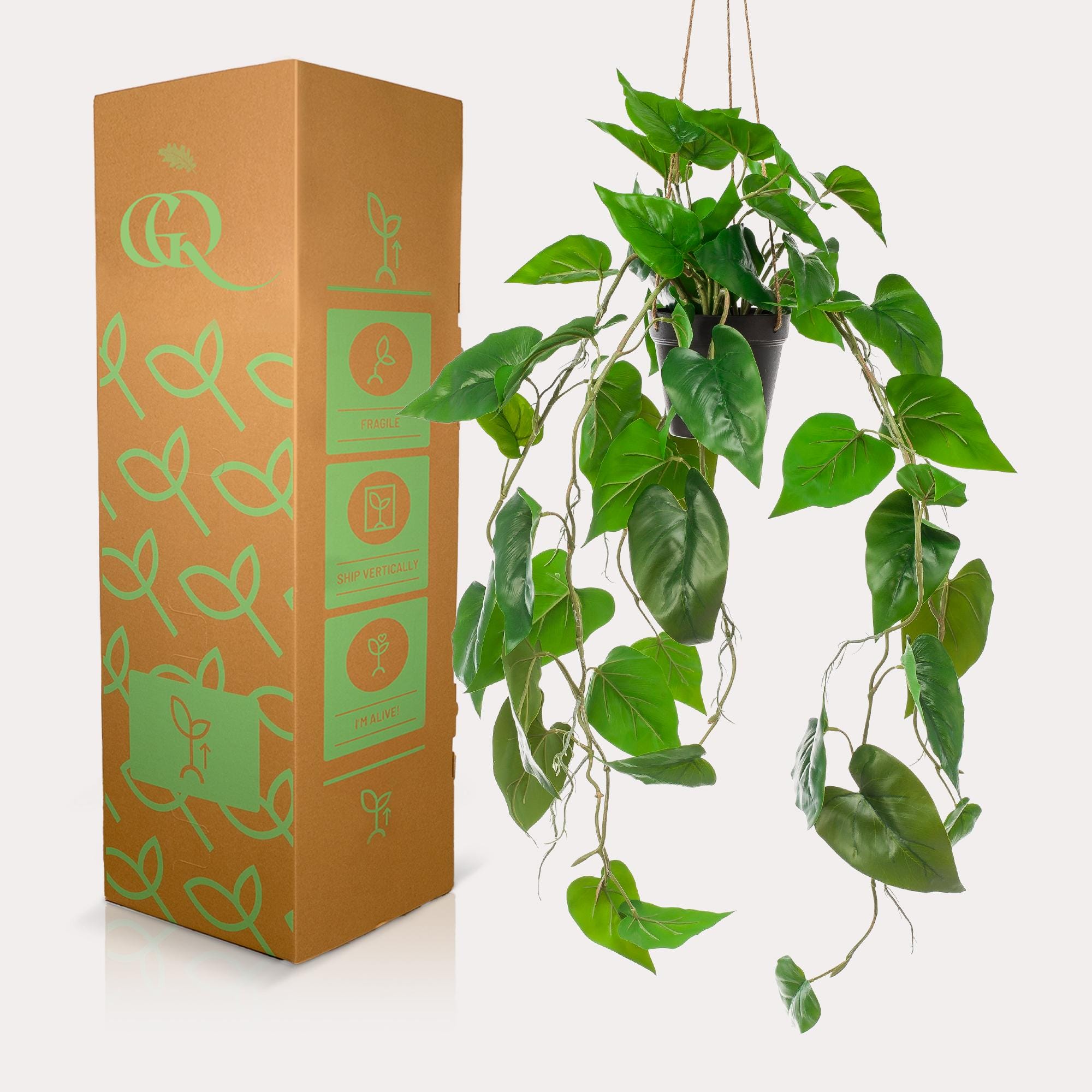 Philodendron Scandens - Kunst Hangplant - 80cm - Afbeelding 4