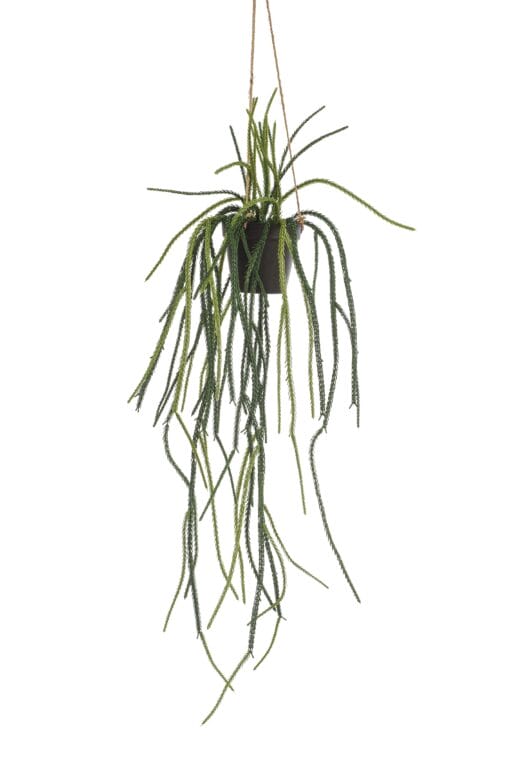 Rhypsalis - Kunst Hangplant - 85cm