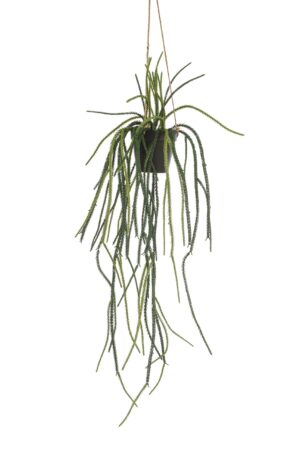 Rhypsalis - Kunst Hangplant - 85cm